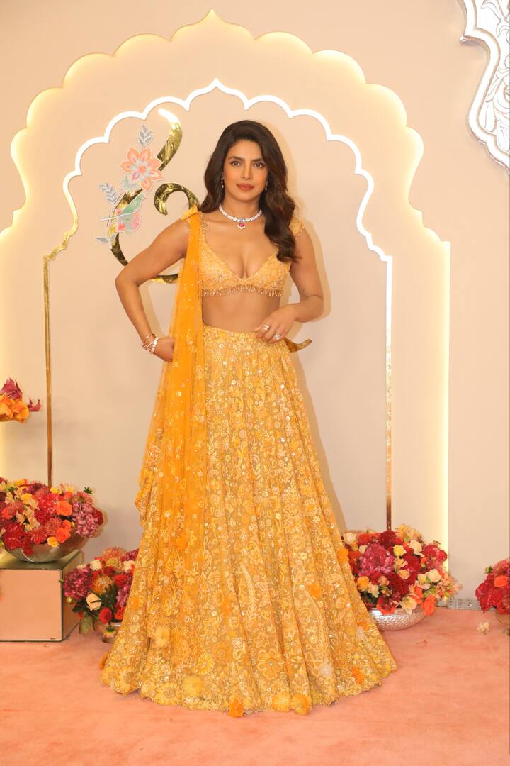 इस कपल ने जियो वर्ल्ड सेंटर पहुंचकर रेड कार्पेट पर ग्रैंड एंट्री ली औऱ पैपराजी को कई सारे पोज भी दिए.