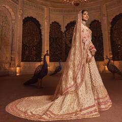 Radhika Marchant: মা-ঠাকুমার সাবেক গয়না, রাধিকার বিবাহবেশে ছিল কী কী বিশেষত্ব?