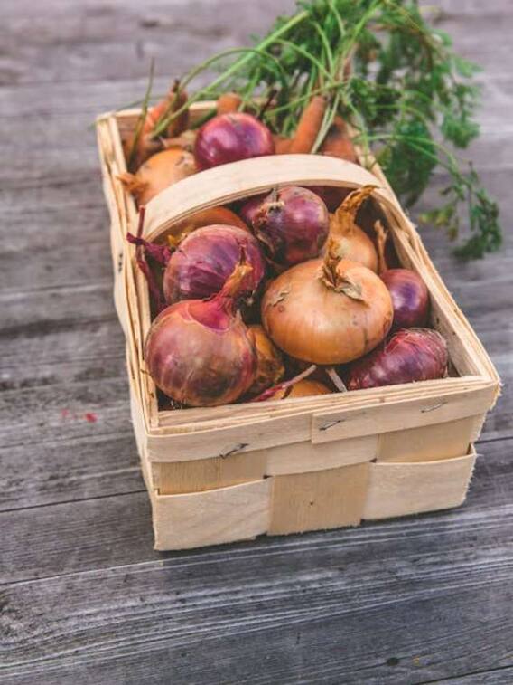 कच्चा प्याज खाना सेहत के लिए क्या सच में फायदेमंद है