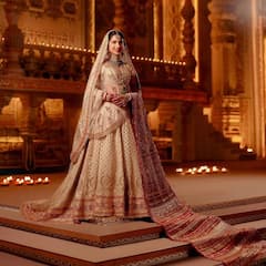 Radhika Marchant: মা-ঠাকুমার সাবেক গয়না, রাধিকার বিবাহবেশে ছিল কী কী বিশেষত্ব?