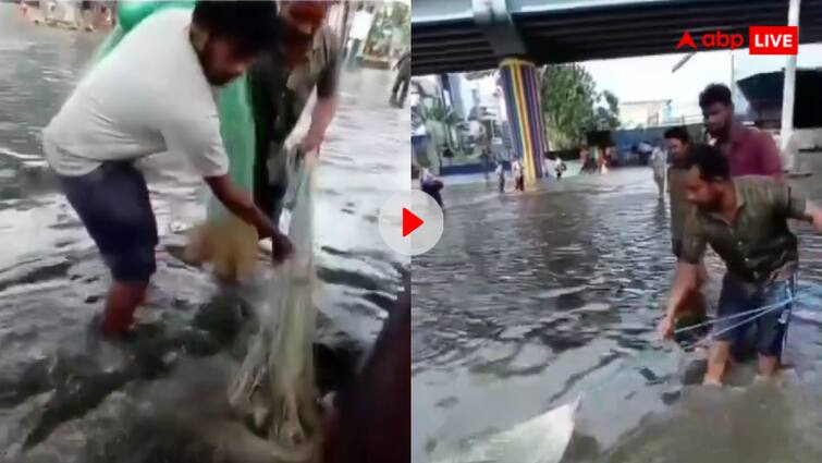 Video of fishermen catching fish from flood water is going viral Video: समंदर नहीं सड़कों पर जाल लेकर मछली पकड़ने पहुंचे मछुआरे, मुंबई का वीडियो हो रहा वायरल