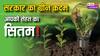 ग्रीन इकोनॉमी और बजट 2024: सरकार के कदम से सीधे जुड़ी है आपकी सेहत
