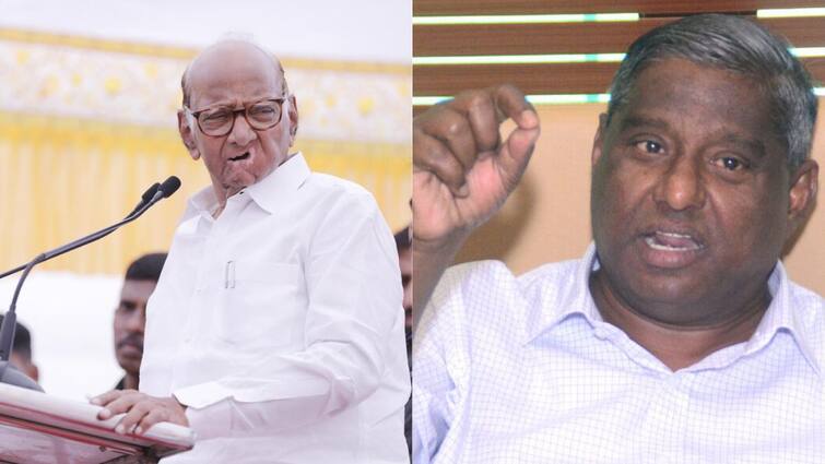 Sadabhau Khot on Vidhan Parishad Election Sharad Pawar stabbed Jayant Patil in the back worked to end the Shetkari Kamgar Party from the state Sadabhau Khot's serious allegations Sadabhau Khot on Vidhan Parishad Election : 'शरद पवारांनी जयंत पाटलांच्या पाठीत खंजीर खुपसला, राज्यातून शेतकरी कामगार पक्ष संपवण्याचं काम केलं', सदाभाऊ खोत यांचे गंभीर आरोप