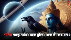 Shani Dev : শনিদেব আপনার উপর প্রসন্ন হবেন, সাড়ে সাতি থেকে মুক্তি পেতে মেষ থেকে মীন-কী করবেন ?
