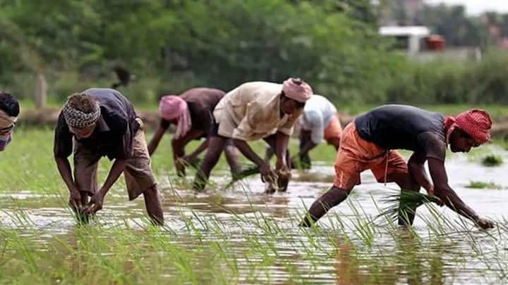 किसानों के लिए ऐसी ही एक योजना साल 2019 में शुरू की गई थी. योजना का नाम था प्रधानमंत्री किसान सम्मान निधि योजना.