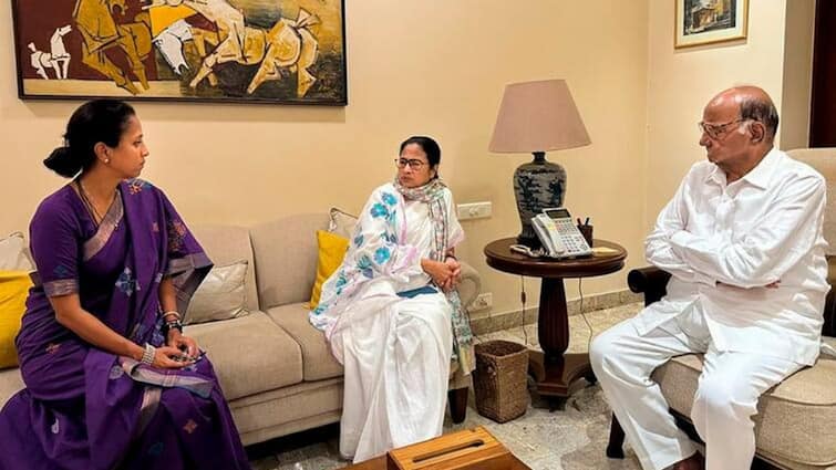 Mamata Banerjee meets Uddhav Thackeray and Sharad Pawar in Mumbai modi Govt will not complete 5years Mamata Banerjee: 'ज्यादा दिन नहीं चलेगी मोदी सरकार, खेला शुरू हो गया', उद्धव-पवार से मुलाकात के बाद ममता बनर्जी का बड़ा दावा