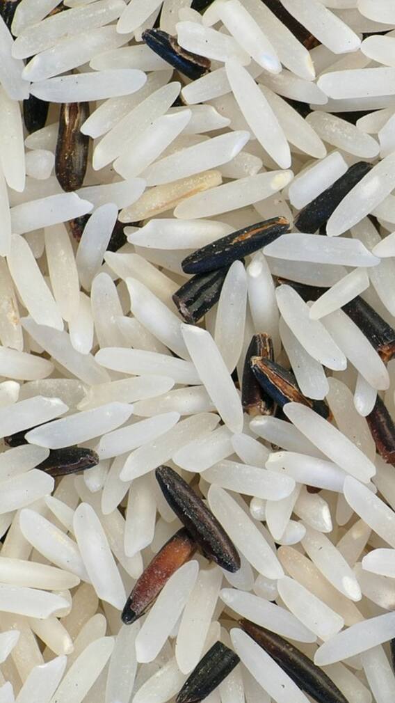 বর্ষায় চালে-ডালে পোকা পড়ছে ? কী করবেন ?