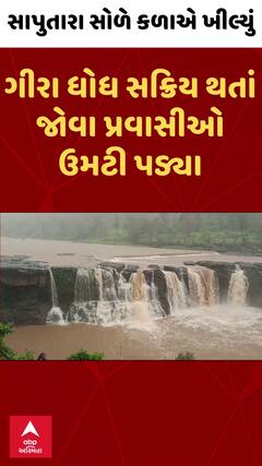 Gira Waterfalls | સાપુતારામાં ભારે વરસાદ બાદ ગીરા ધોધ થયો સક્રીય, ઉમટ્યા પ્રવાસી