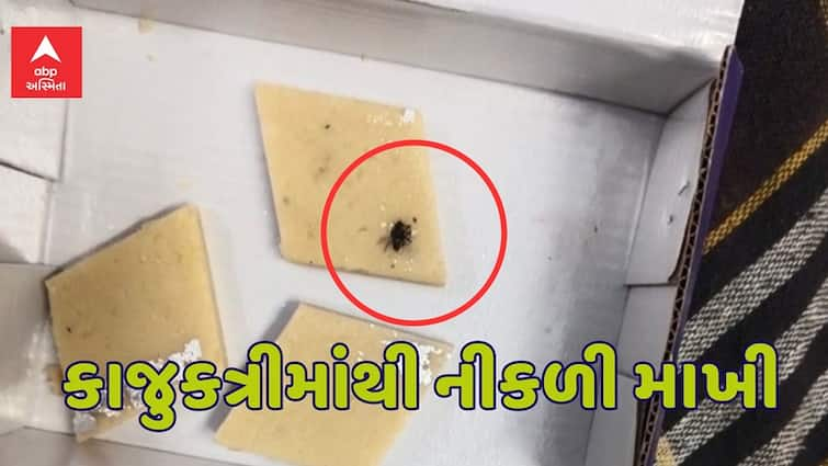 Ahmedabad News In the CTM Ramol area a fly was caught from sweets after buying an electric vehicle they used to make their mouths salty Ahmedabad News: સીટીએમ-રામોલ વિસ્તારમાં મીઠાઈમાંથી માખી નાકળી, ઇલેક્ટ્રિક વાહન ખરીદી બાદ કરાવતા હતા મોં મીઠું