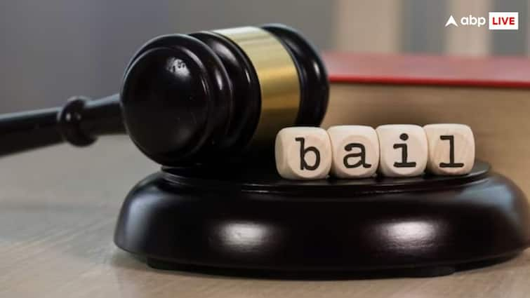 What is the difference between bail interim bail and anticipatory bail know details जमानत, अंतरिम जमानत और अग्रिम जमानत में क्या होता है अंतर? जान लीजिए