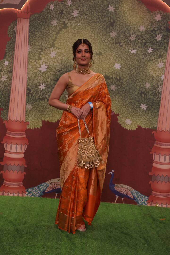 Rashii Khanna looking stunning in a saree.