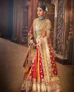 અનંત અંબાણીની જીવનસાથી રાધિકા મર્ચન્ટનો જોવા મળ્યો રોયલ અંદાજ, જુઓ તસવીરો