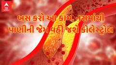 Lifestyle: પાણીની જેમ વહી જશે નસમાં ભરાયેલું બેડ કોલેસ્ટ્રોલ, બસ કરવું પડશે આ કામ