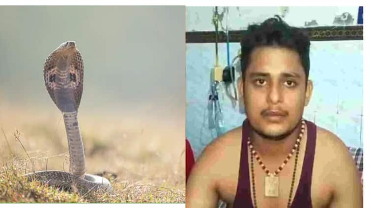 UP Man Bitten By Snake For Seventh Time In 40 Days Team Formed To Probe Case ஒவ்வொரு சனிக்கிழமையும் இளைஞரை கடிக்கும் பாம்பு?! 40 நாளில் 7 முறை - என்ன சொல்றீங்க?