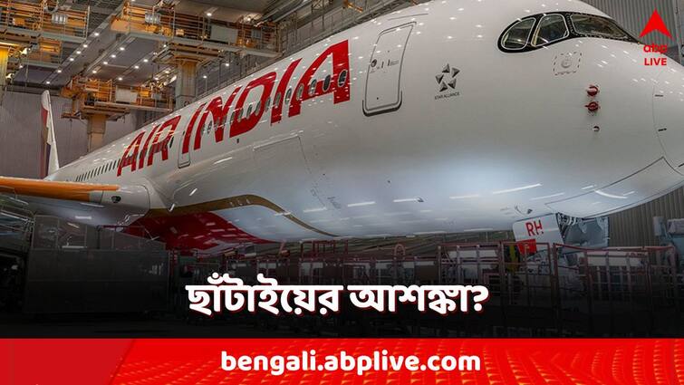 Air India Vistara Airlines Merge may effect 600 jobs lay off they may recruited in other tata group companies Air India Vistara Merge: মিশছে এয়ার ইন্ডিয়া-ভিস্তারা! বিপুল ছাঁটাইয়ের আশঙ্কা?