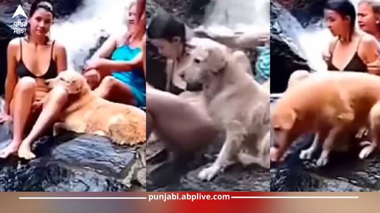 Video: girls were having fun in waterfall, world's most terrifying creature came out from below Viral Video: ਕੁੜੀਆਂ ਝਰਨੇ 'ਚ ਕਰ ਰਹੀਆਂ ਸੀ ਮਸਤੀ, ਫਿਰ ਹੇਠਾਂ ਤੋਂ ਆਇਆ ਦੁਨੀਆ ਦਾ ਸਭ ਤੋਂ ਭਿਆਨਕ ਜੀਵ, ਥਰ-ਥਰ ਕੰਬ ਗਈਆਂ, ਦੇਖੋ ਵਾਇਰਲ ਵੀਡੀਓ