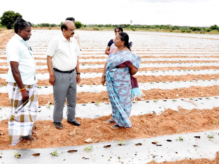 கரூரில் நுண்ணீர் பாசனத் திட்டம் ரூ.16.18 கோடி மதிப்பீட்டில் செயல்படுத்தப்பட்டுள்ளது - ஆட்சியர் தகவல்