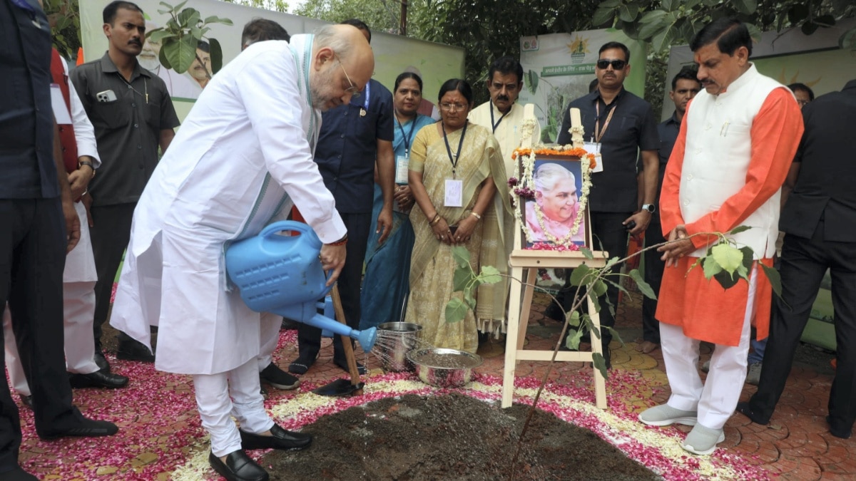 'MP Lungs Of Bharat': Shah Says PM Modi's 'Ek Ped Maa Ke Naam' Suitable ...