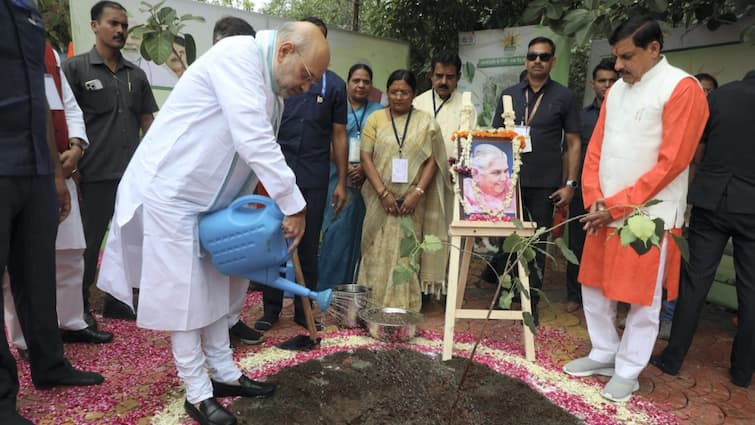 'MP Lungs Of Bharat': Shah Says PM Modi's 'Ek Ped Maa Ke Naam' Suitable Reply To Climate Change