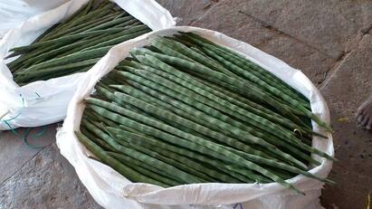 Prices of vegetables have skyrocketed due to lack of supply அண்ணன் விலை உயரத்துக்கு போயிடுச்சு... தம்பி, தங்கச்சியும் கிடுகிடுன்னு உயருது: உயரும் காய்கறி விலை