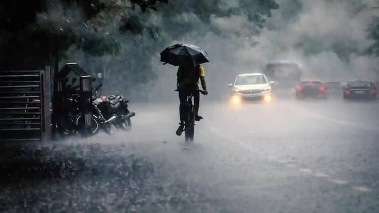 The Meteorological Department has predicted heavy rain in this state including Uttar Pradesh Weather Update: યૂપી સહિત આ રાજ્યમાં પૂરનો ખતરો, હજું ભારે વરસાદનું હવામાન વિભાગનું એલર્ટ