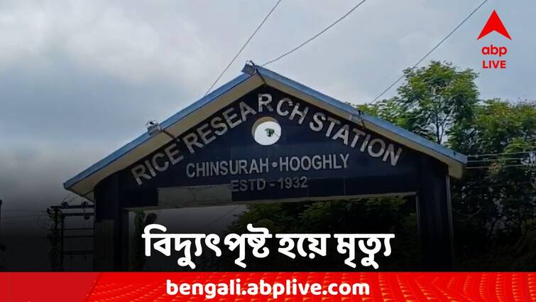 Hooghly News Youth Electrocuted Death by touching the tube well pipe Electrocuted Death: অধরাই রয়ে গেল স্বপ্ন, স্নান করতে গিয়ে মর্মান্তিক পরিণতি যুবকের