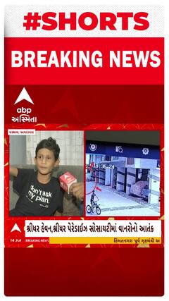 Ahmedabad | કપિરાજના હુમલાનો ભોગ બનેલા બાળકે વર્ણવી આપવીતી