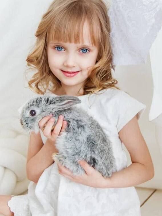 खरगोश पालने वाले लोगों को इन बातों का जरूर ख्याल रखना चाहिए