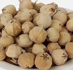 ਬਲੱਡ ਸ਼ੂਗਰ ਤੋਂ ਲੈ ਕੇ ਭਾਰ ਘਟਾਉਣ ਲਈ ਰਾਮਬਾਣ ਪਨੀਰ ਦੇ ਫੁੱਲ, ਜਾਣੋ ਇਸ ਦੇ ਹੋਰ ਫਾਇਦੇ