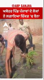 Abohar | ਅਬੋਹਰ ਦੇ ਪਿੰਡ ਪੰਜਾਵਾਂ ਦੇ ਲੋਕਾਂ ਨੇ ਲਗਾਇਆ ਚਿੱਕੜ 'ਚ ਝੋਨਾ