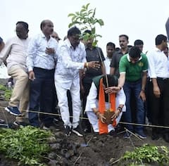 MP: इंदौर में बना गिनीज वर्ल्ड रिकॉर्ड्स, गृह मंत्री अमित शाह और CM मोहन समेत बड़ी संख्या में लोगों ने लगाए 11 लाख पौधे