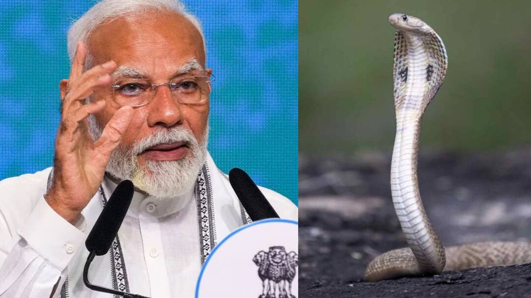 Snake Found At PM Modi Residence Rescued By Wildlife SOS Team PM Modi: ప్రధాని మోదీ నివాసంలో 3 అడుగుల నాగుపాము, పట్టుకుని అడవిలో వదిలిన అటవీ అధికారులు