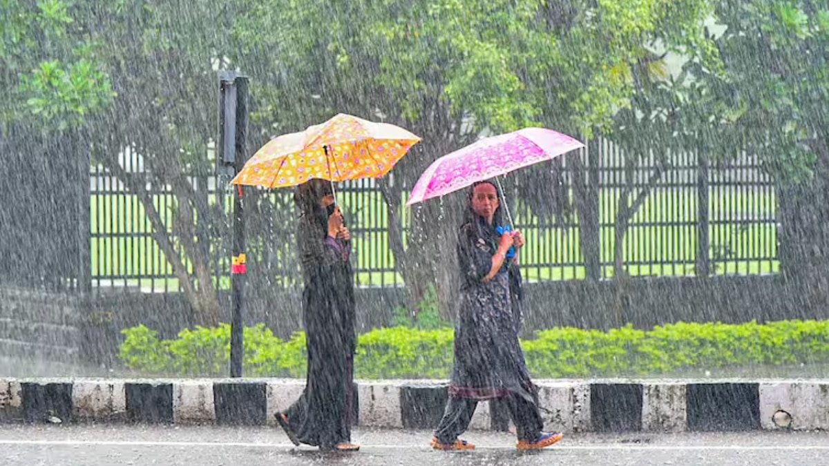 MP Weather: एमपी के 20 जिलों में आज भारी बारिश का अलर्ट, IMD के ताजा अपडेट से जानें अपने जिले का हाल