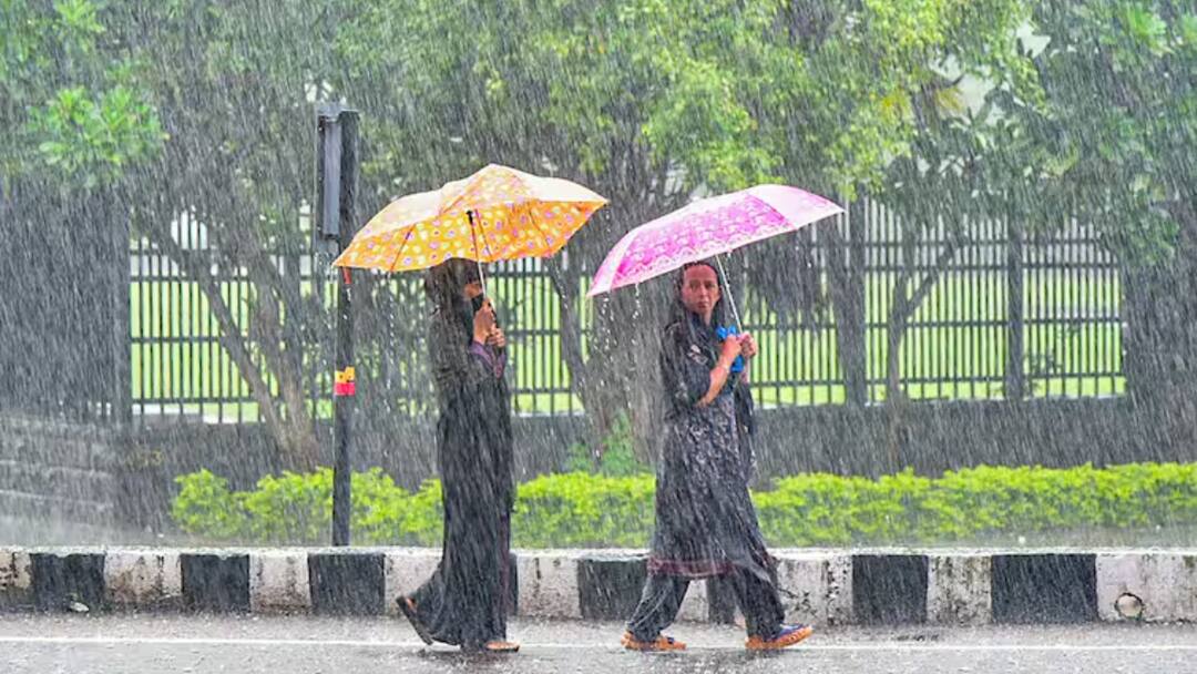 MP Weather Update Today IMD issued Heavy rain alert in 20 districts Bhopal Jabalpur Indore ANN MP Weather: एमपी के 20 जिलों में आज भारी बारिश का अलर्ट, IMD के ताजा अपडेट से जानें अपने जिले का हाल