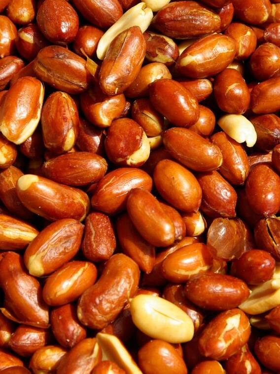 क्या भीगी मूंगफली भुनी मूंगफली से ज्यादा पौष्टिक होती है