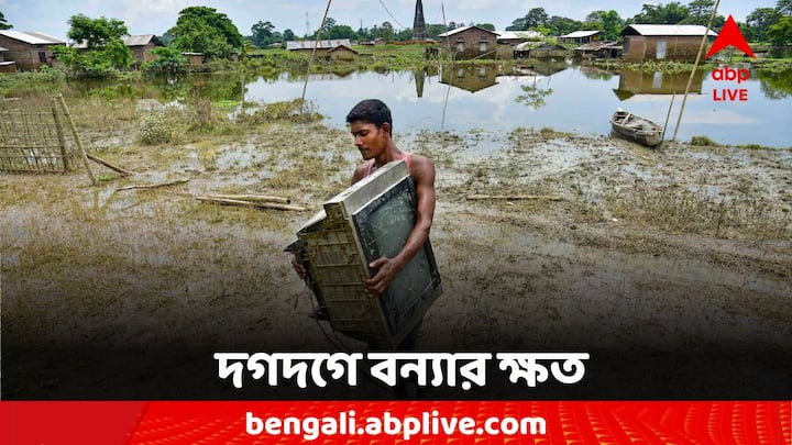 Assam Flood Update: এখনও পুরোপুরি স্বাভাবিক হয়নি পরিস্থিতি। বেশ কিছু জায়গায় রয়েছে সতর্কতা। বিপর্যস্ত অসমের জনজীবন।