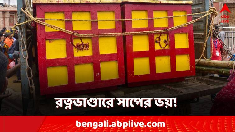 Puri jagannath temple ratna bhandar reopened specialist called for fear of snakes Puri Ratna Bhandar: পুরীর রত্নভাণ্ডারে সাপের ভয়! তড়িঘড়ি ডাকা হল সর্পবিশারদদের