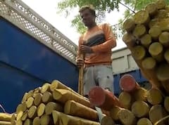 News: અમદાવાદમાં વાનરના આતંકને જોતા વેપારીઓએ શરૂ કર્યો લાકડી-ધોકાનો વેપાર, 50 થી 200 રૂ.માં કરી રહ્યાં છે વેચાણ