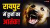 Dog Attack: रायपुर में पिटबुल का आतंक! पार्सल देने आए युवक पर झपटा, घर के बाहर तक किया पीछा