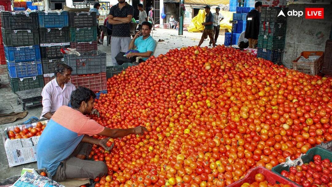 Vegetable Prices: जल्द घटेंगे टमाटर, प्याज और आलू के रेट, नहीं शुरू होगी सब्सिडी वाली सेल retail price of tomato onion and potato should cool down soon as supply improves Vegetable Prices: जल्द घटेंगे टमाटर, प्याज और आलू के रेट, नहीं शुरू होगी सब्सिडी वाली सेल