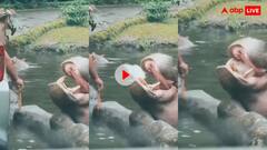 बेजुबान हिप्पो के साथ शख्स ने की क्रूरता, देखकर गुस्से से लाल पीले हो जाएंगे आप