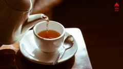 Tea Benefit: মশলা চা-তেও এত উপকার, একাধিক রোগ দূরে পালায়