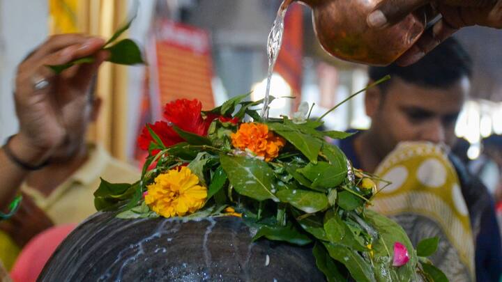 মিথুন রাশি রাশির জাতকদের জন্য শ্রাবণ মাস আশীর্বাদ হিসেবে গণ্য হবে। সম্পদ বৃদ্ধি পাওয়ার সঙ্গে সঙ্গে চাকরি ও ব্যবসায় লাভ হবে।  শিক্ষার ক্ষেত্রেও আপনার পরিশ্রম ফল দেবে। আপনি শ্রাবণ মাসে যে কাজই করবেন তাতে ভগবান শিবের আর্শীবাদ পাবেন। (ছবি সৌজন্য- পিটিআই)