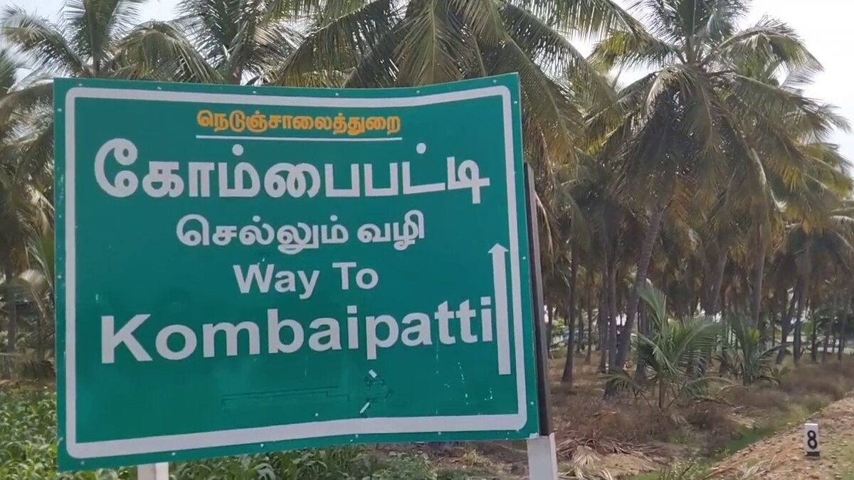 பழனி அருகே விவசாய நிலங்களுக்குள் புகுந்த காட்டு யானையை விரட்டும் வனத்துறையினர்