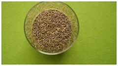 જો તમે રોજ જીરું ખાશો તો આ બીમારીઓથી દૂર રહેશો, જાણો દરરોજ કેટલું જીરું ખાવું જોઈએ?