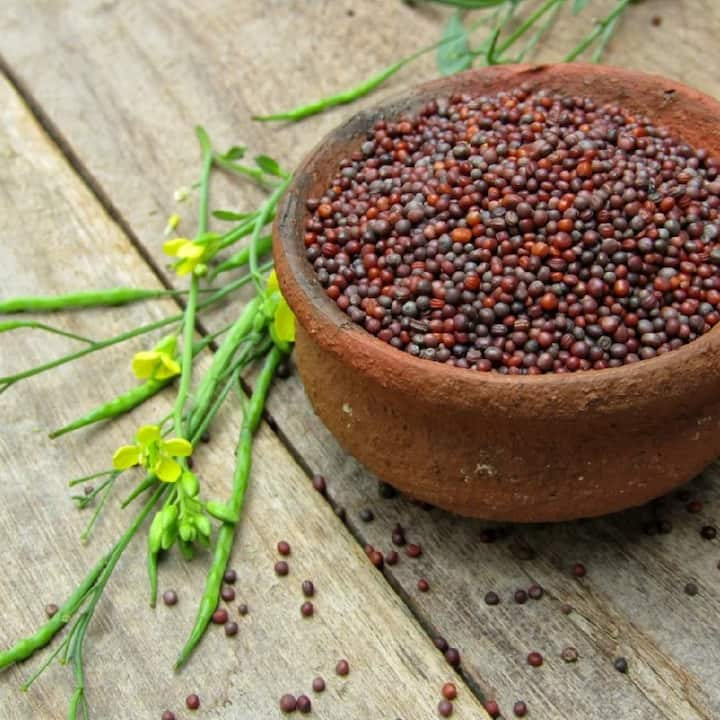 Mustard seeds are rich in magnesium, which provides relief from body pain and stress. If you are suffering from headache then mustard seeds can prove to be very beneficial.