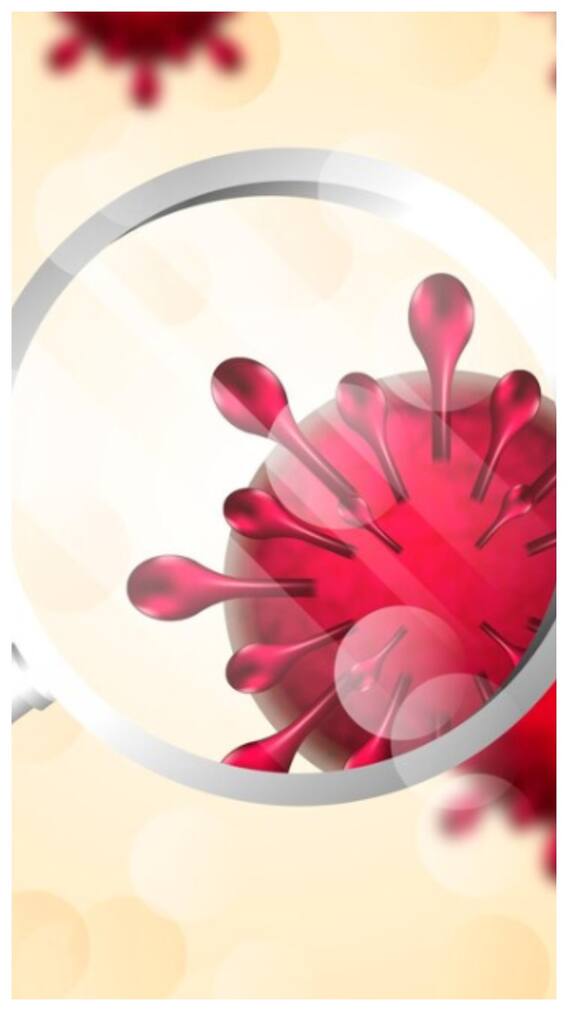 क्या है चांदीपुरा वायरस, कितना खतरनाक?