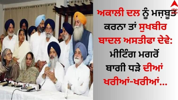 Prof. Prem Singh Chandumajra said that Sukhbir Badal should resign if Akali Dal is to be strengthened details inside Punjab News: ਅਕਾਲੀ ਦਲ ਨੂੰ ਮਜਬੂਤ ਕਰਨਾ ਤਾਂ ਸੁਖਬੀਰ ਬਾਦਲ ਅਸਤੀਫਾ ਦੇਵੇ: ਮੀਟਿੰਗ ਮਗਰੋਂ ਬਾਗੀ ਧੜੇ ਦੀਆਂ ਖਰੀਆਂ-ਖਰੀਆਂ