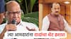 राष्ट्रवादीचे आमदार शरद पवारांसोबत जाणार?; अजित पवारांची खरमरीत प्रतिक्रिया, थेट इशारा