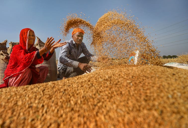 Government To Sell Wheat From Its Stock To Flour Mills Biscuit Makers To Curb Prices Wheat Price Hike: महंगाई कम करने के लिए आटा मिलों और बिस्कुट कंपनियों को सस्ते दामों पर गेहूं बेचेगी सरकार